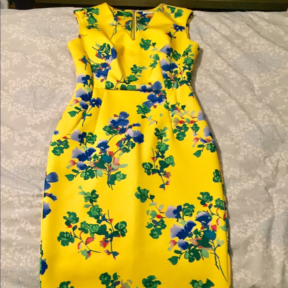 Luxurious Calvin Kline Fitted Dress